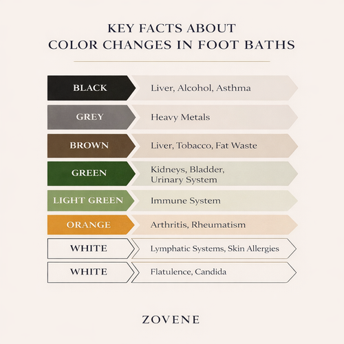 Zovene Ionic Foot Detox